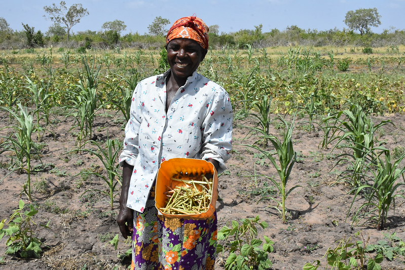 Climate intelligence and anticipatory action work